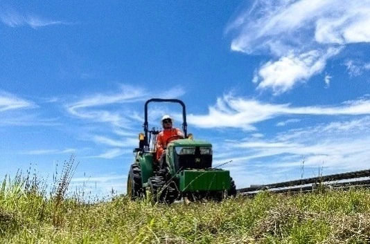 Mowing a vegitative solar farm overgrowth.