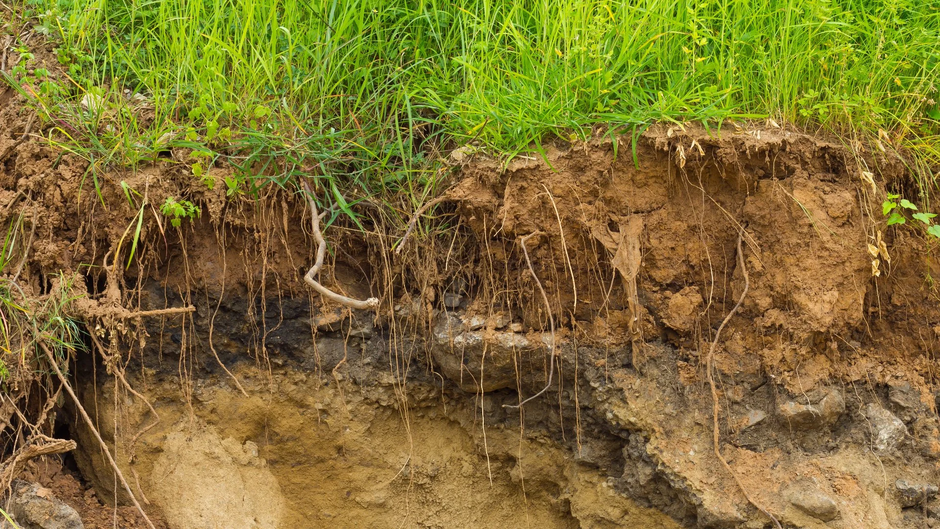 5 Soil Erosion Control Methods to Consider Using for Your Property