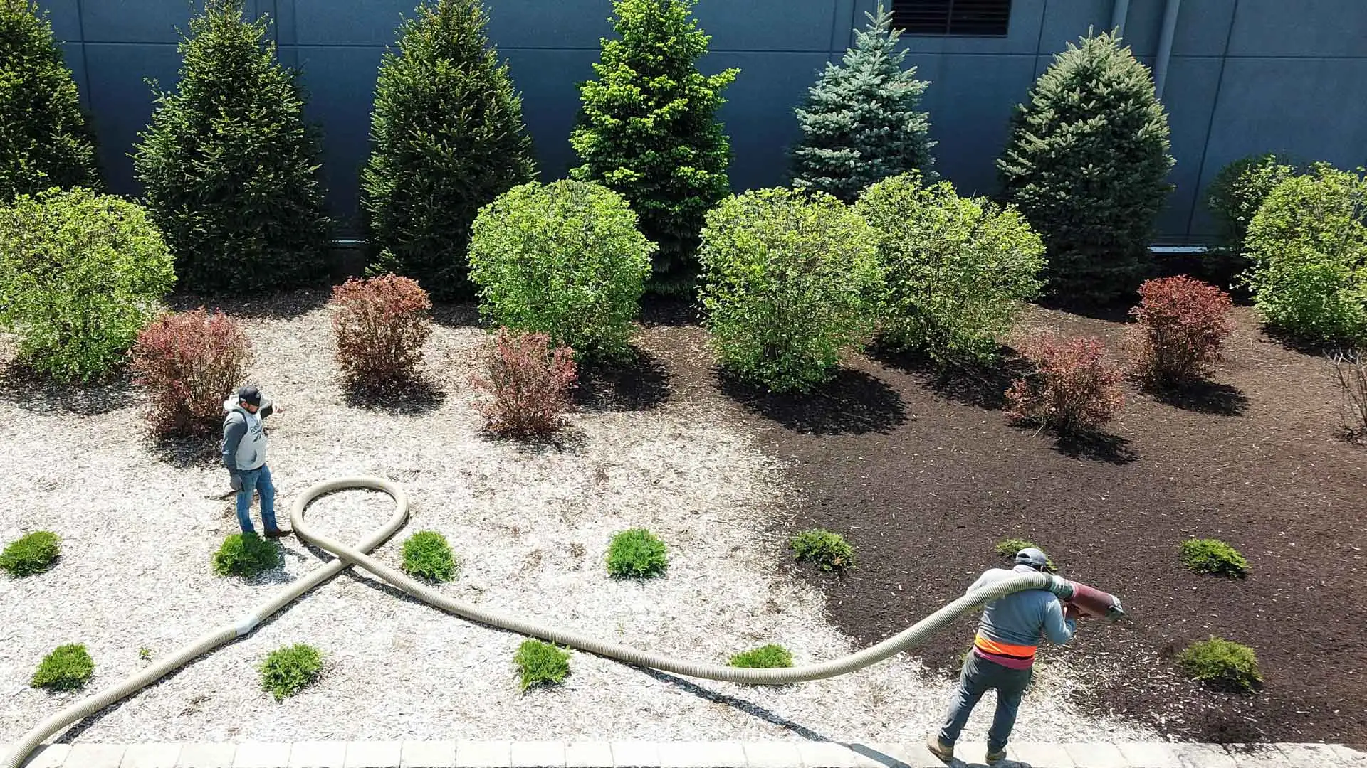 Two professionals in a landscape bed adding mulch covering in Detroit, MI.