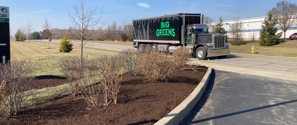 Mulch added for root protecting in a landscape bed in Ohio.