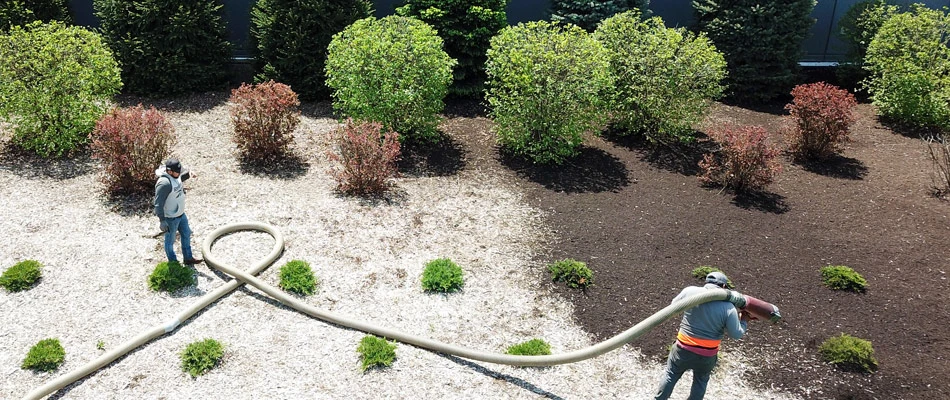Mulch being applied by professionals in a large landscape bed in Kentucky.